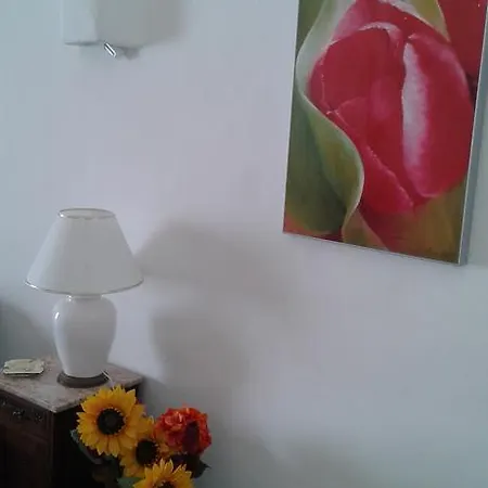 Quica, Heated Pool アルブフェイラ